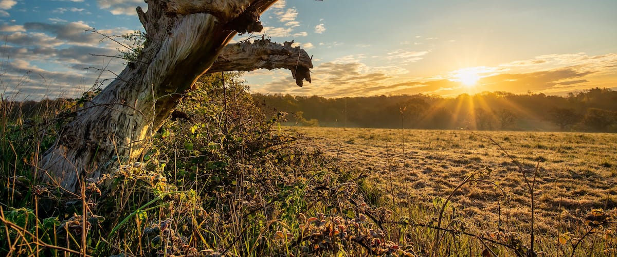 Sunrise over a field and hills in Spring in Harrow, Greater London