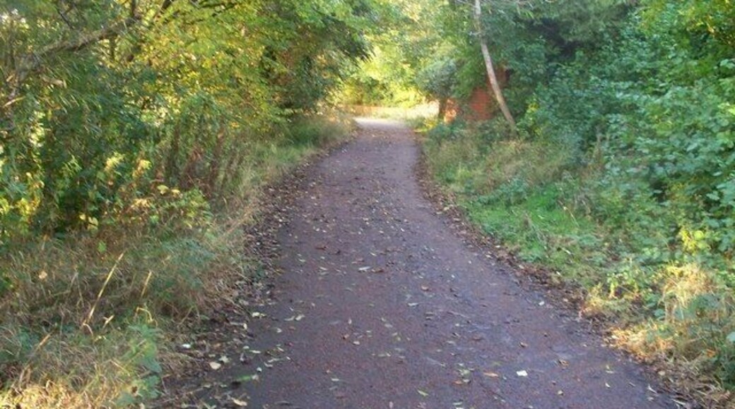 Taff Trail/NCN 8 route between Llandaff and Forest Farm This section runs between the river and the Melingriffith housing estate. It can get quite busy at popular times as it is used by walkers, cyclists, and dog owners!