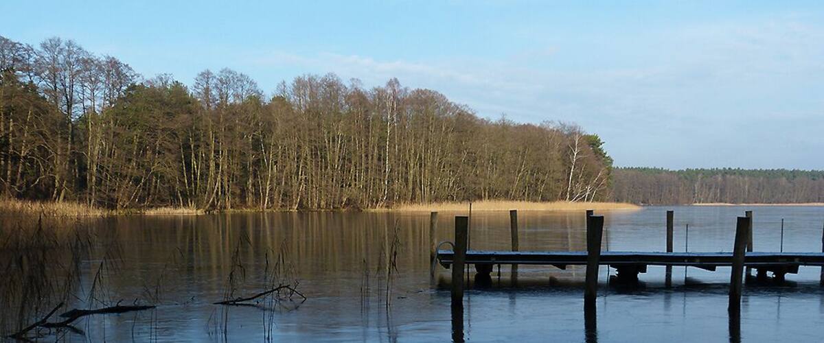 A frozen lake with a wooden dock extending into the water, surrounded by trees.