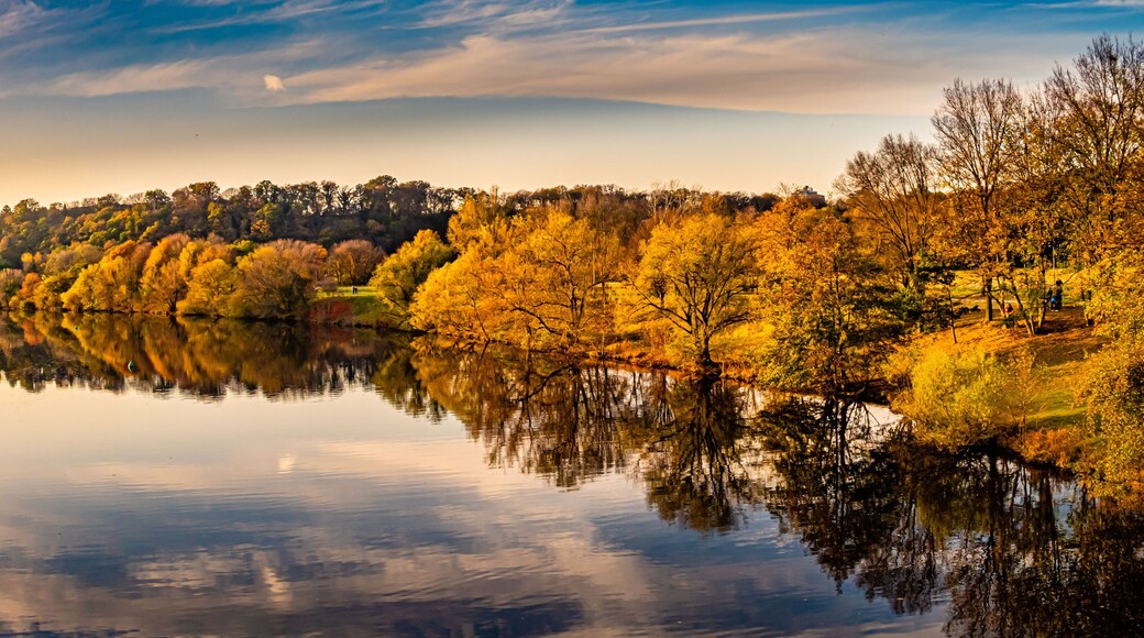 Un lago tranquillo che riflette gli alberi autunnali e un cielo sereno.
