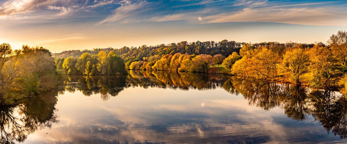 Un lago tranquillo che riflette gli alberi autunnali e un cielo sereno.