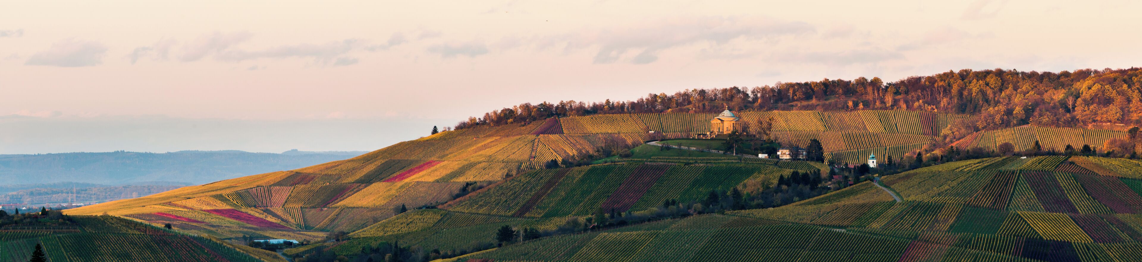 This is a picture of the protected area listed at WDPA under the ID