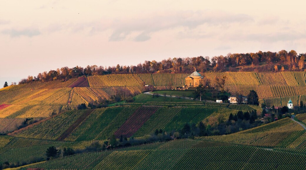 This is a picture of the protected area listed at WDPA under the ID