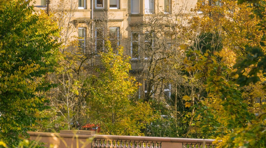 ชอว์แลนด์ส