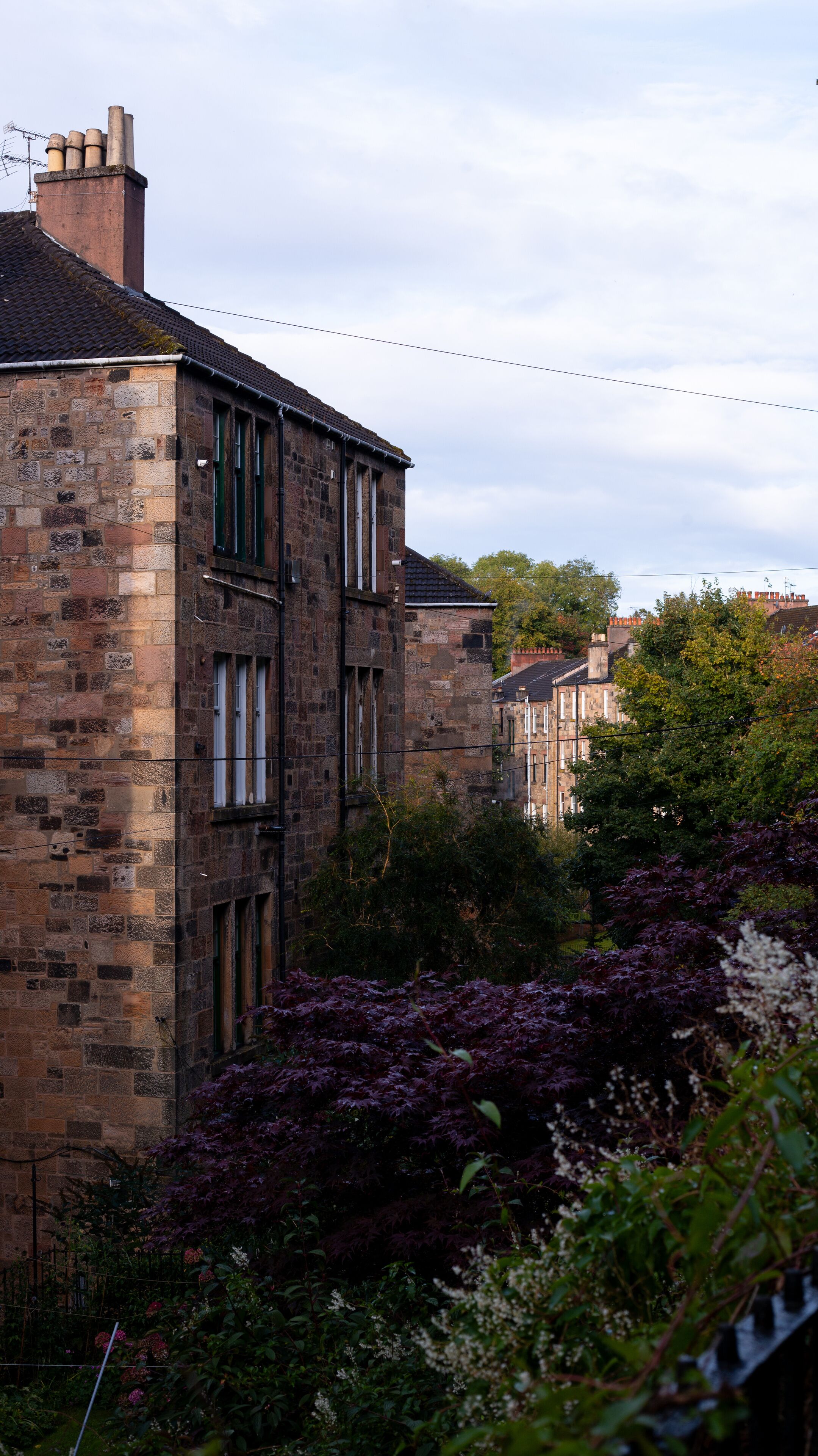 ชอว์แลนด์ส