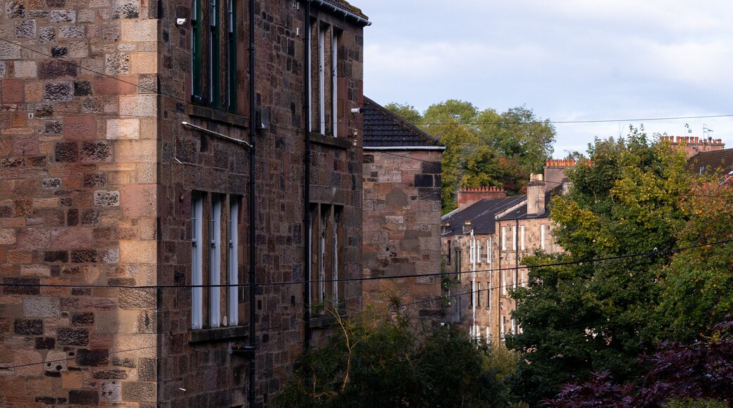 ชอว์แลนด์ส