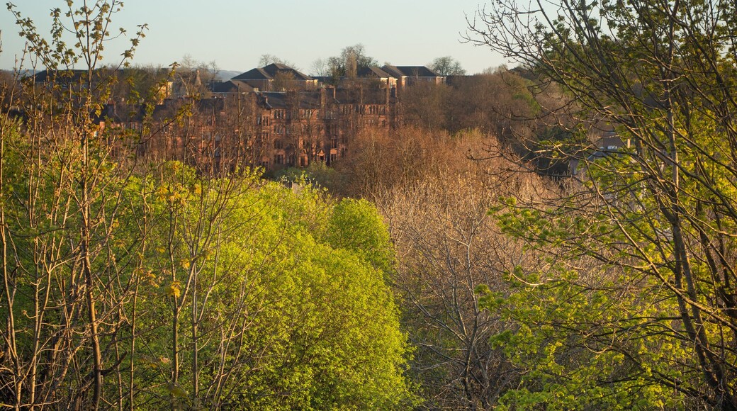 ชอว์แลนด์ส