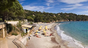 ปลาจ เด ลา แกร์รอนเน็ต