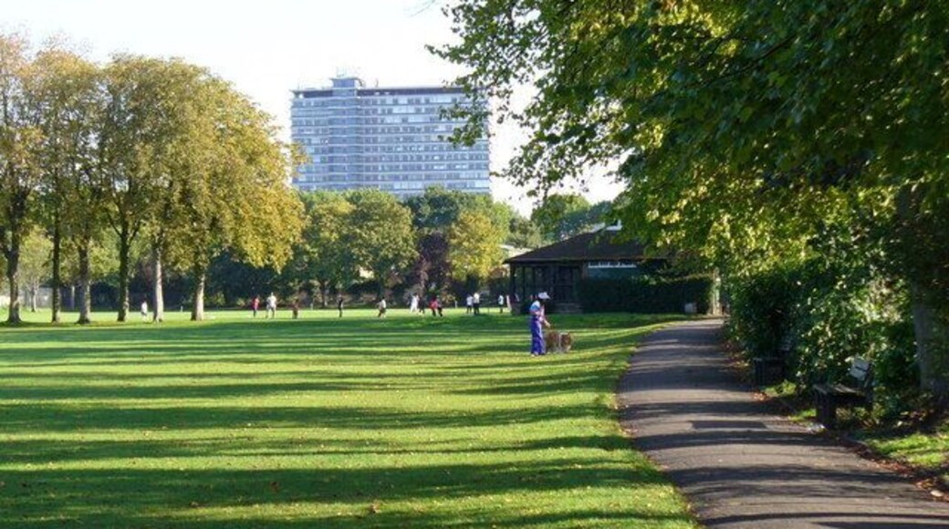 Alexandra Recreation Ground, Tolworth, southwest London, with afternoon shadows on the football pitches. In the background is Tolworth Tower.