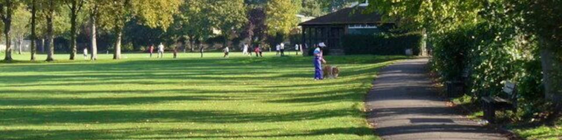Alexandra Recreation Ground, Tolworth, southwest London, with afternoon shadows on the football pitches. In the background is Tolworth Tower.