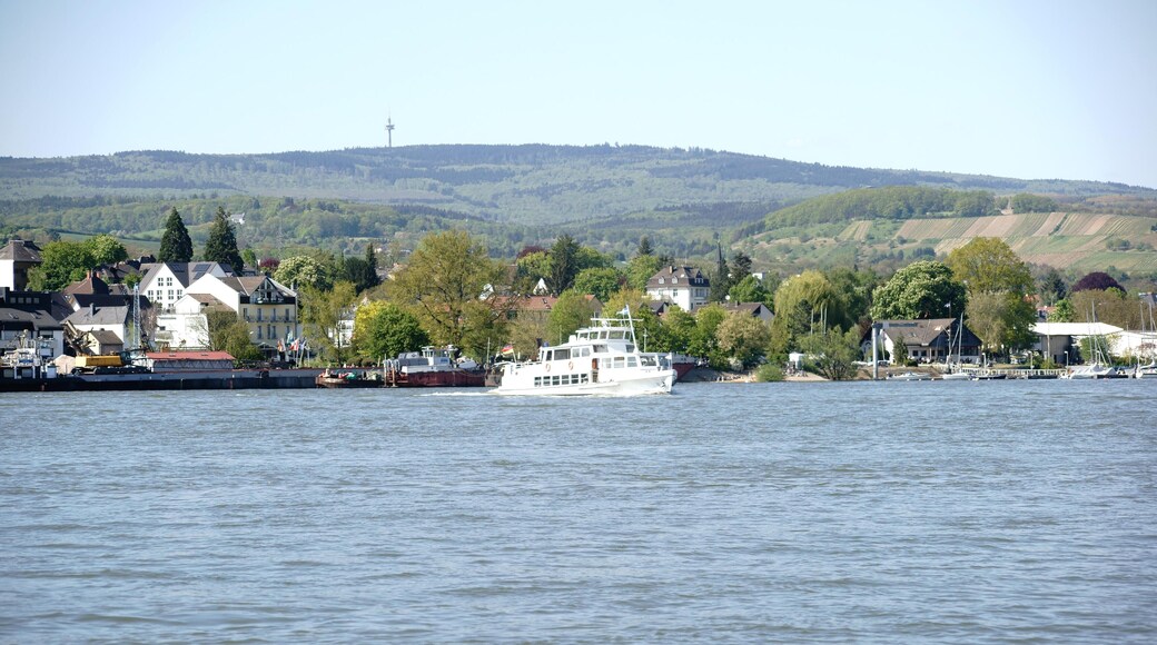 MB0XN1 A passenger ship crosses the river Main near Schierstein.