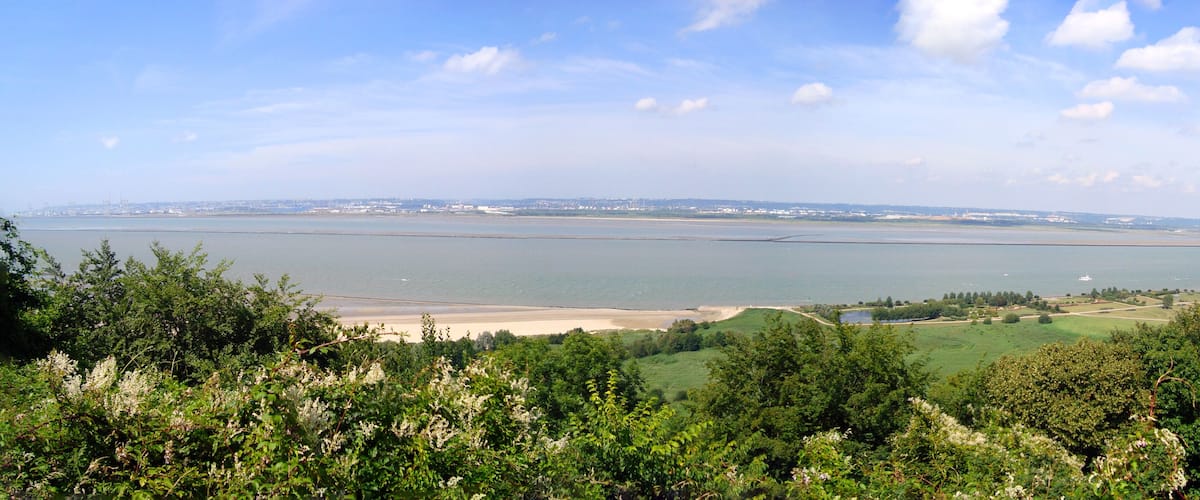 A coastal landscape with a wide river, green fields, and distant buildings.