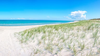 A beach with sand dunes and a clear blue sky.