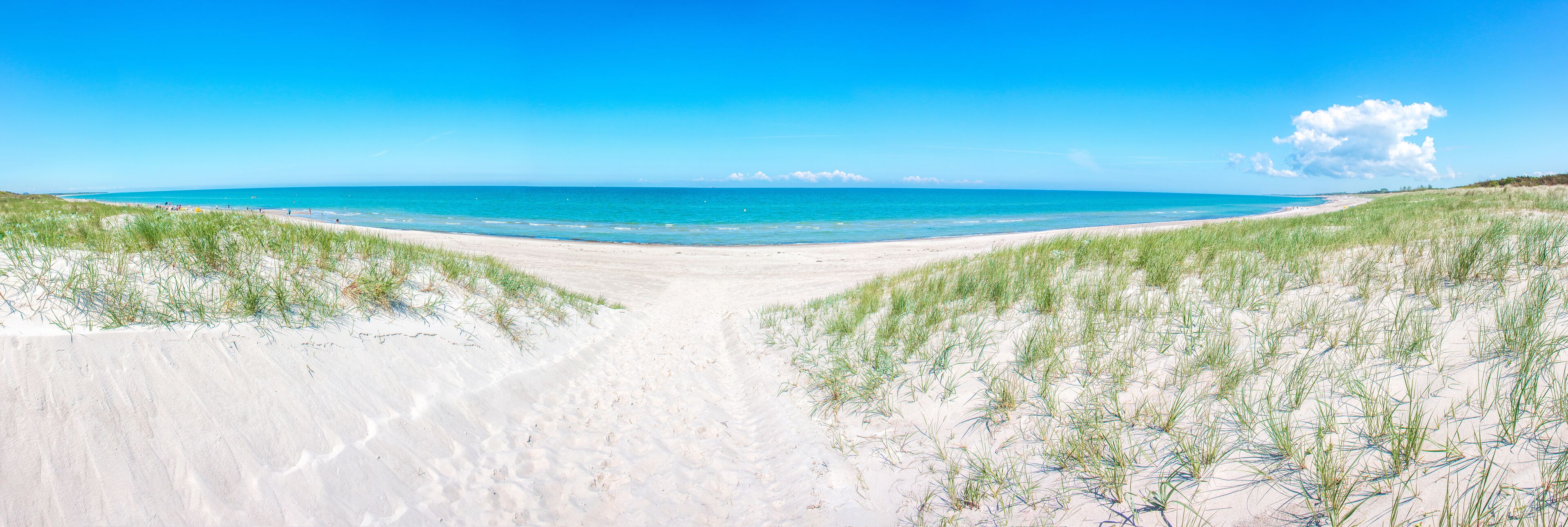 A beach with sand dunes and a clear blue sky.