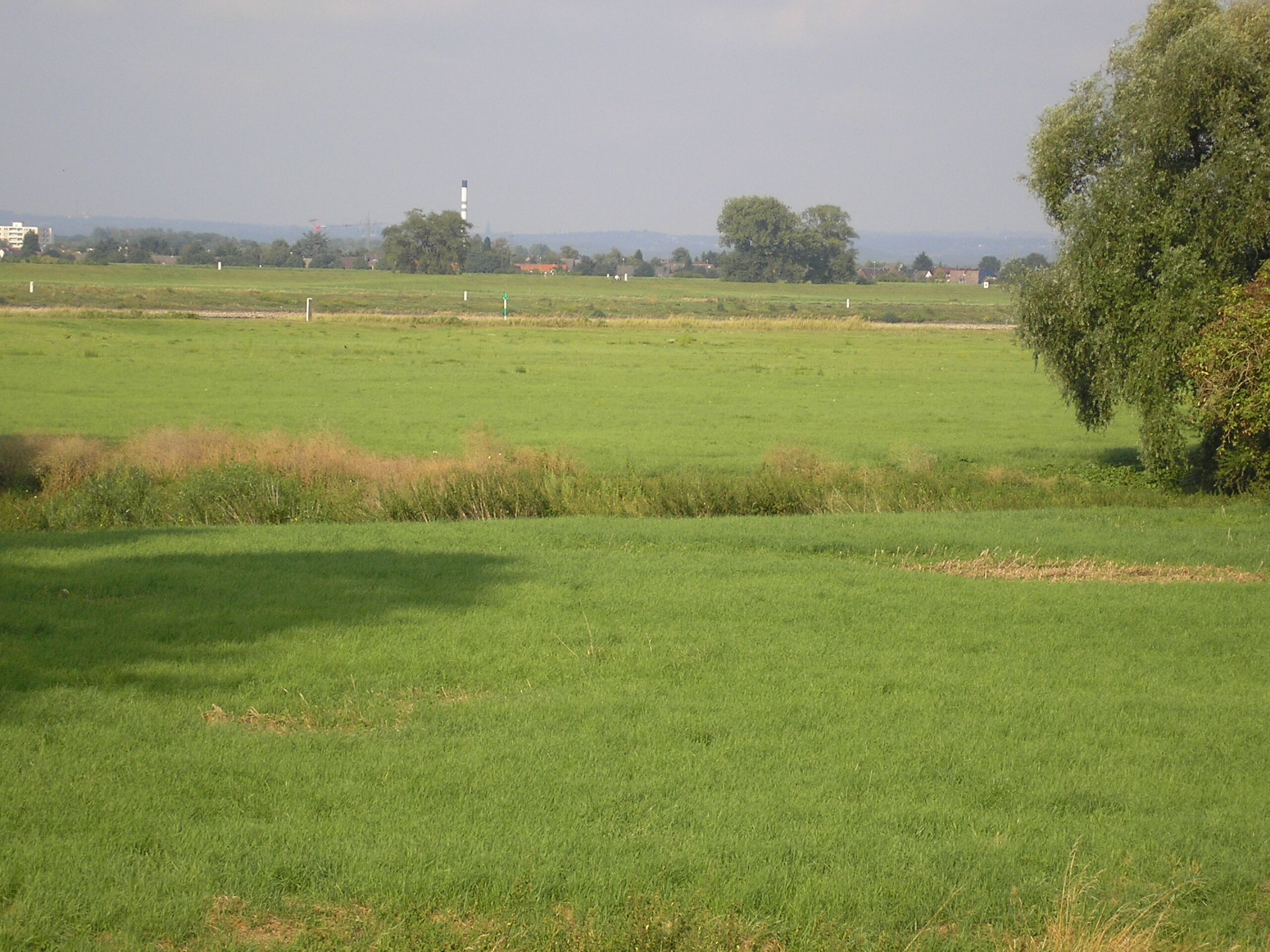 Rheinaue vor Köln-Worringen, Überflutungsgebiet vor der Hochwasserschutzmauer. Blick auf Monheim und das Bergische Land.