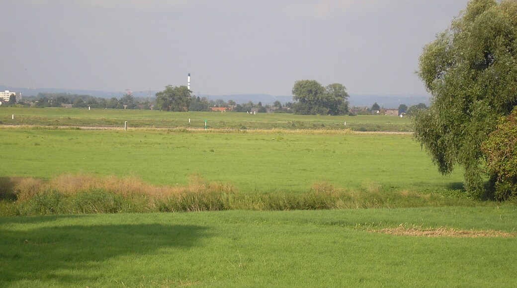 Rheinaue vor Köln-Worringen, Überflutungsgebiet vor der Hochwasserschutzmauer. Blick auf Monheim und das Bergische Land.