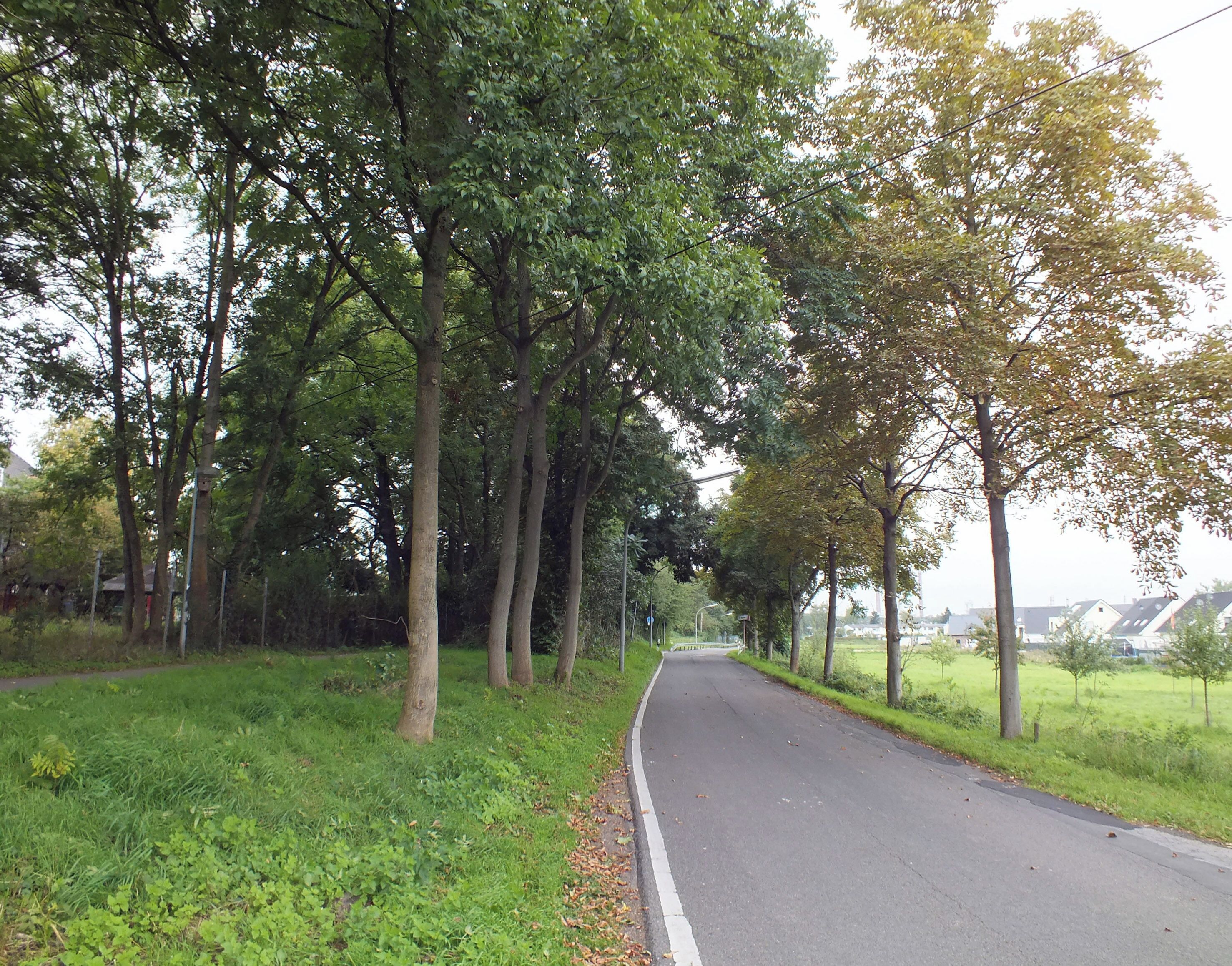 This is a photograph of an architectural monument. It is on the list of cultural monuments of Köln, no. 472