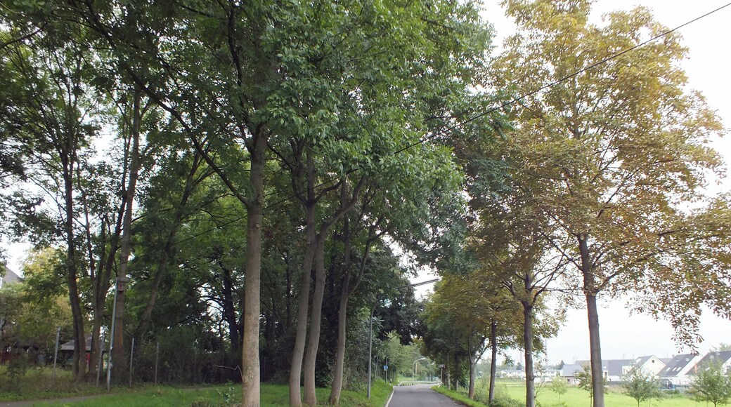 This is a photograph of an architectural monument. It is on the list of cultural monuments of Köln, no. 472