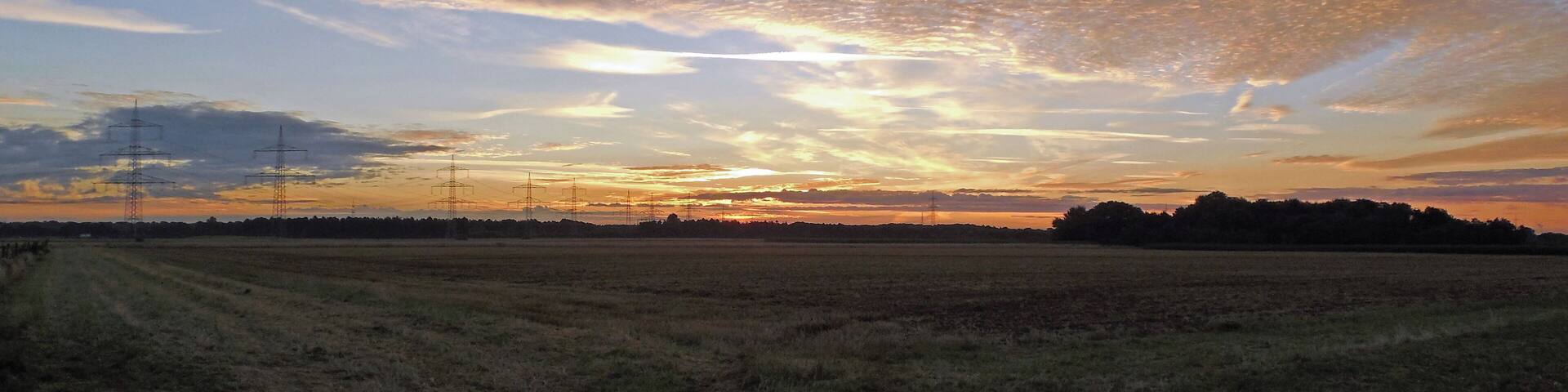 A sunset over a field with power lines and a distant tree line.