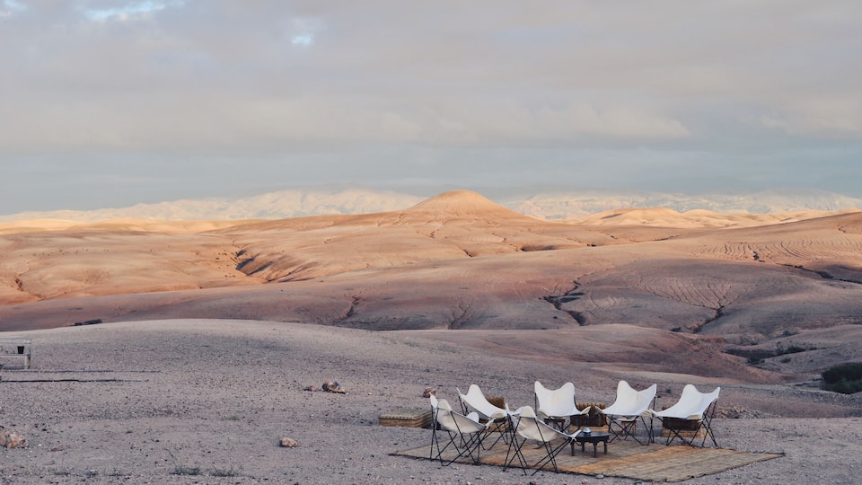 A desert landscape with white tents and a camel in the foreground.