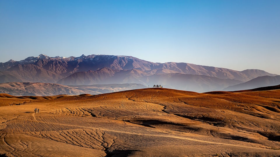 A desert landscape with rolling hills and distant mountains.