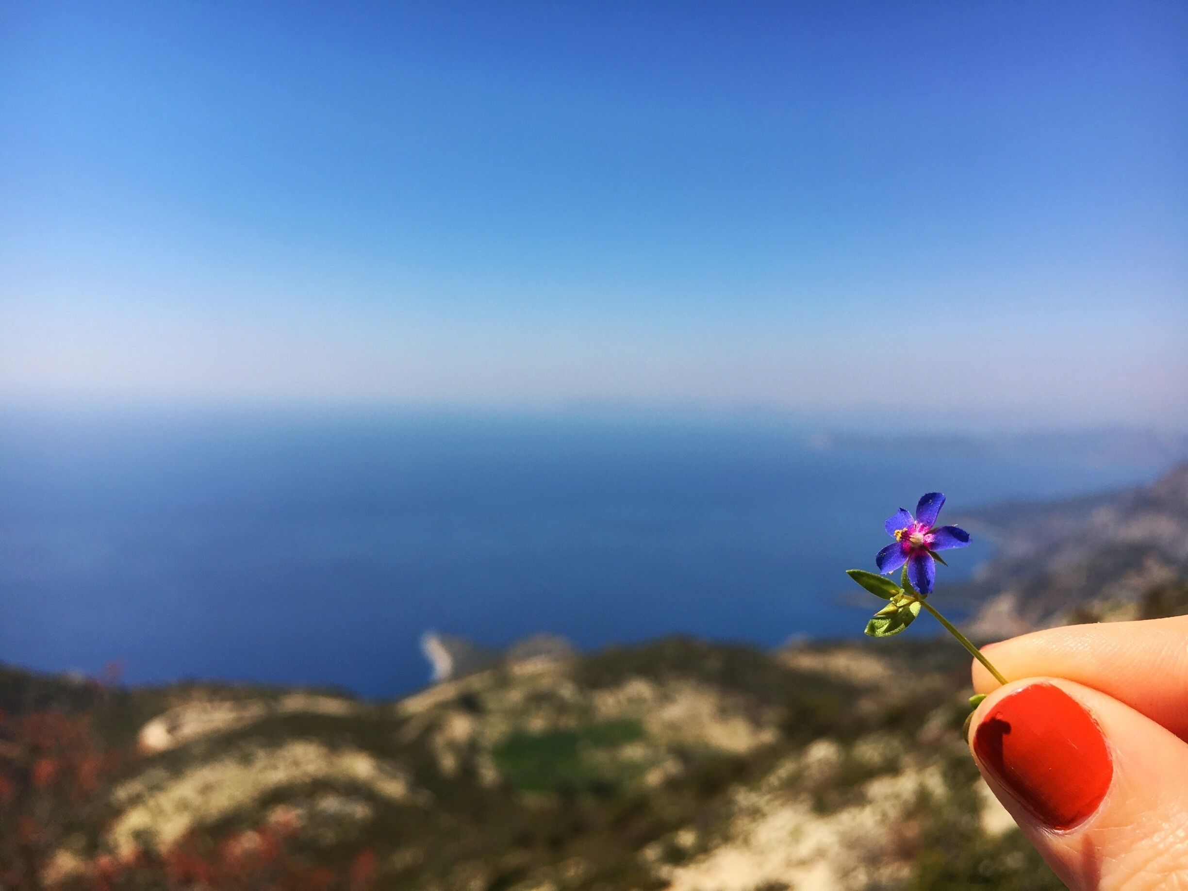 The Lycian Way is a long-distance footpath in Turkey around part of the coast of ancient Lycia.  
And #spring is here! 🌿🌸
#springfun
