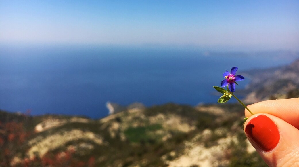 The Lycian Way is a long-distance footpath in Turkey around part of the coast of ancient Lycia.
And #spring is here! 🌿🌸
#springfun