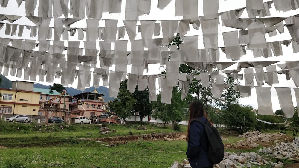 A person standing in a grassy area with a backdrop of buildings and a mountainous landscape.