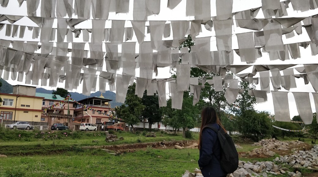 Bir is a small Village in Himachal Pradesh which has lots of Tiberian colonies. The people are the best I have ever come across.