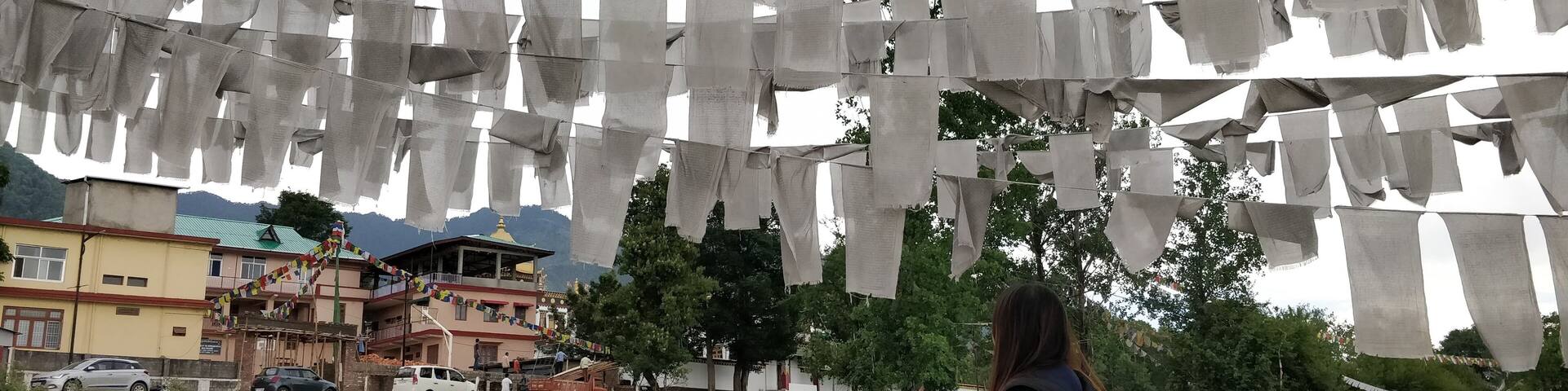 Bir is a small Village in Himachal Pradesh which has lots of Tiberian colonies. The people are the best I have ever come across.