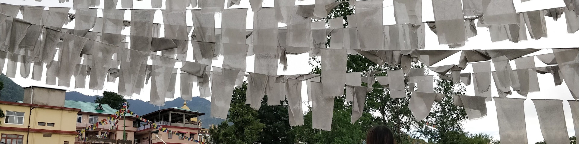 Bir is a small Village in Himachal Pradesh which has lots of Tiberian colonies. The people are the best I have ever come across.