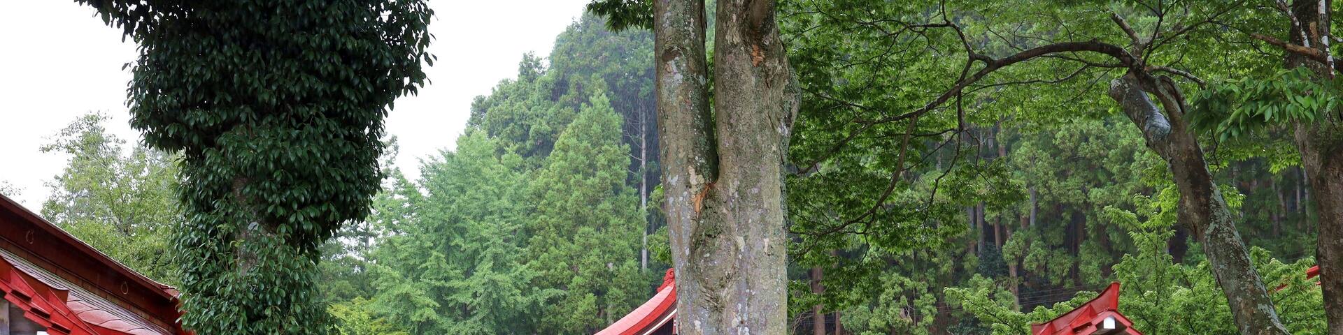 Iwanuma, Miyagi Prefecture, Japan, August 14, 2024.The scenery around Kinhebi-sui Shrine.