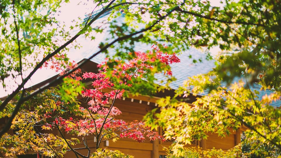A traditional building with a tiled roof, surrounded by trees with green and red leaves.