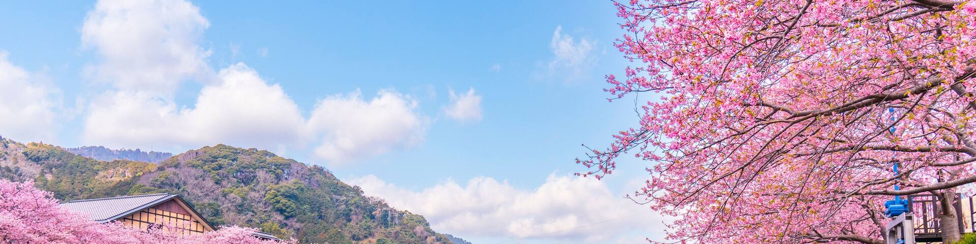 A river with cherry blossoms, a traditional building, and a mountain in the background.