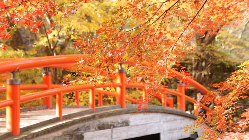 A stone bridge with orange railings and red maple leaves.