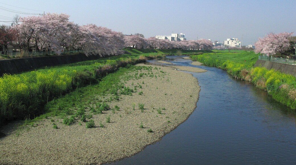 Yanase River in Shiki (Saitama Prefecture, Japan).
