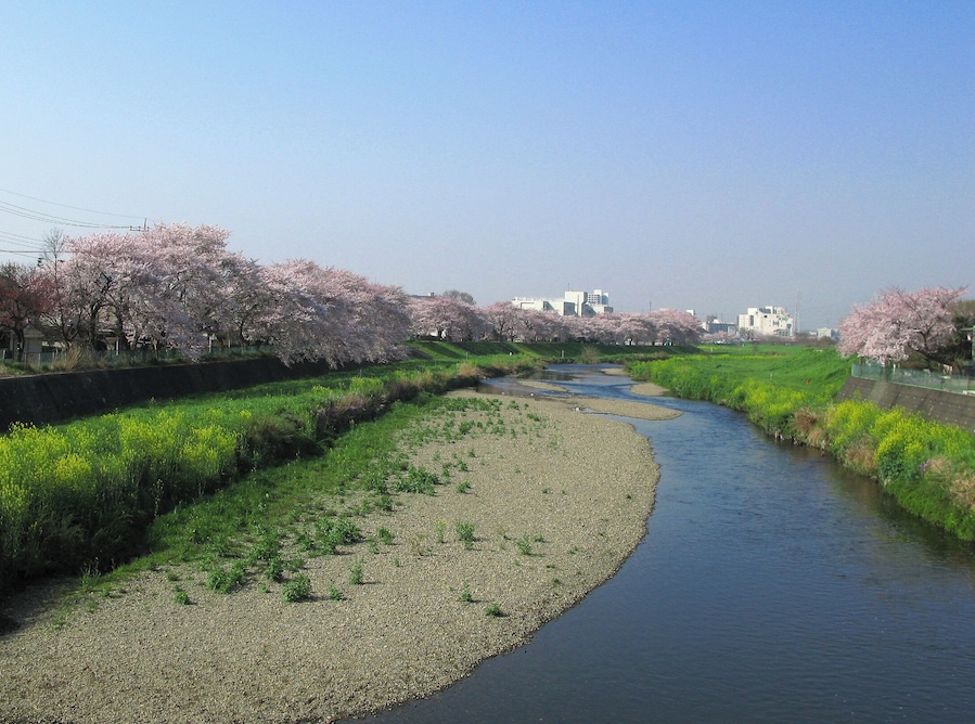 Yanase River in Shiki (Saitama Prefecture, Japan).