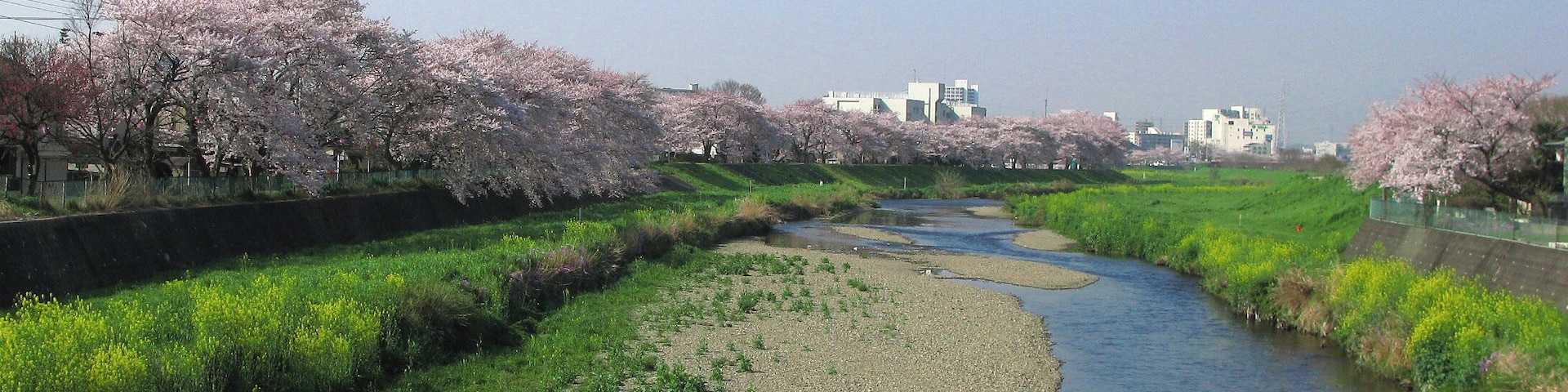 Yanase River in Shiki (Saitama Prefecture, Japan).