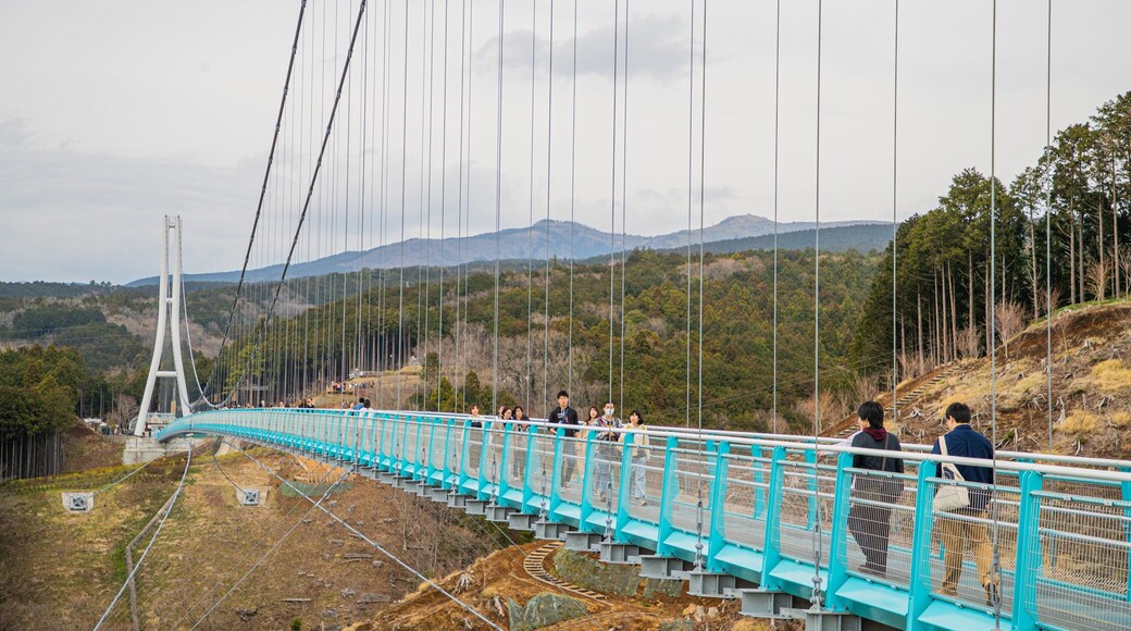 Mishima Sky Walk featuring a bridge and landscape views as well as a small group of people