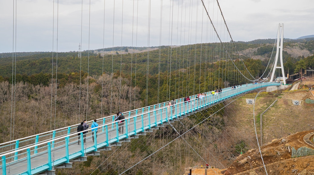 Mishima Sky Walk featuring landscape views, a bridge and tranquil scenes