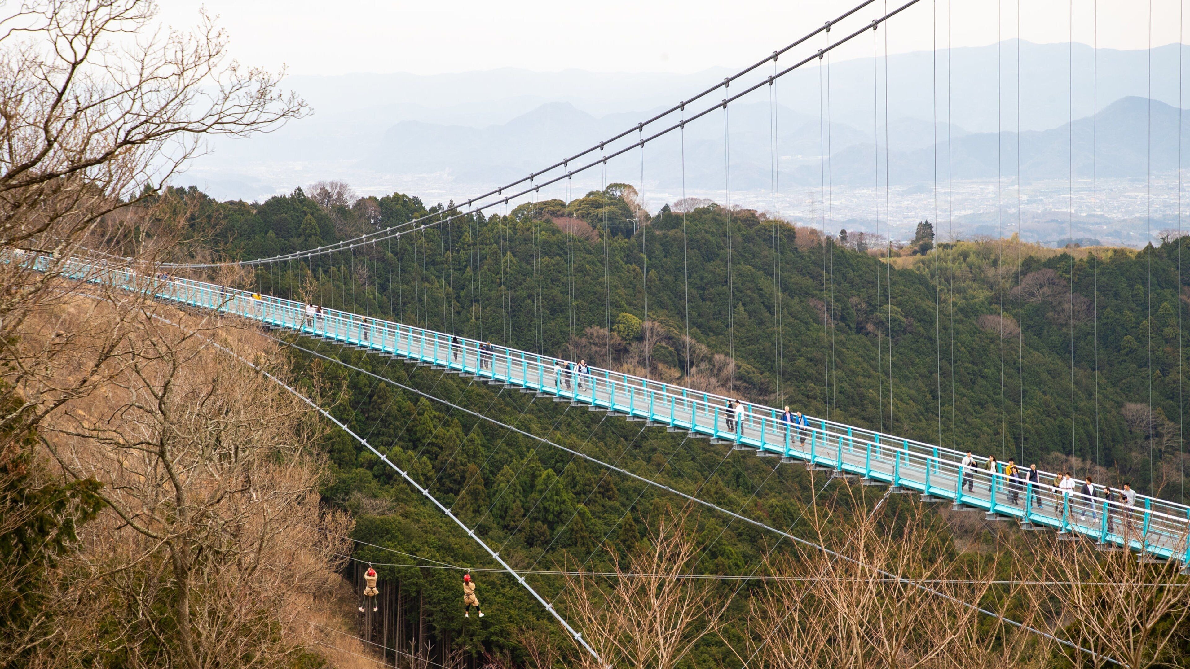 Mishima Sky Walk featuring a bridge, landscape views and tranquil scenes