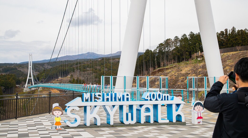 Mishima Sky Walk showing signage and a bridge as well as an individual male