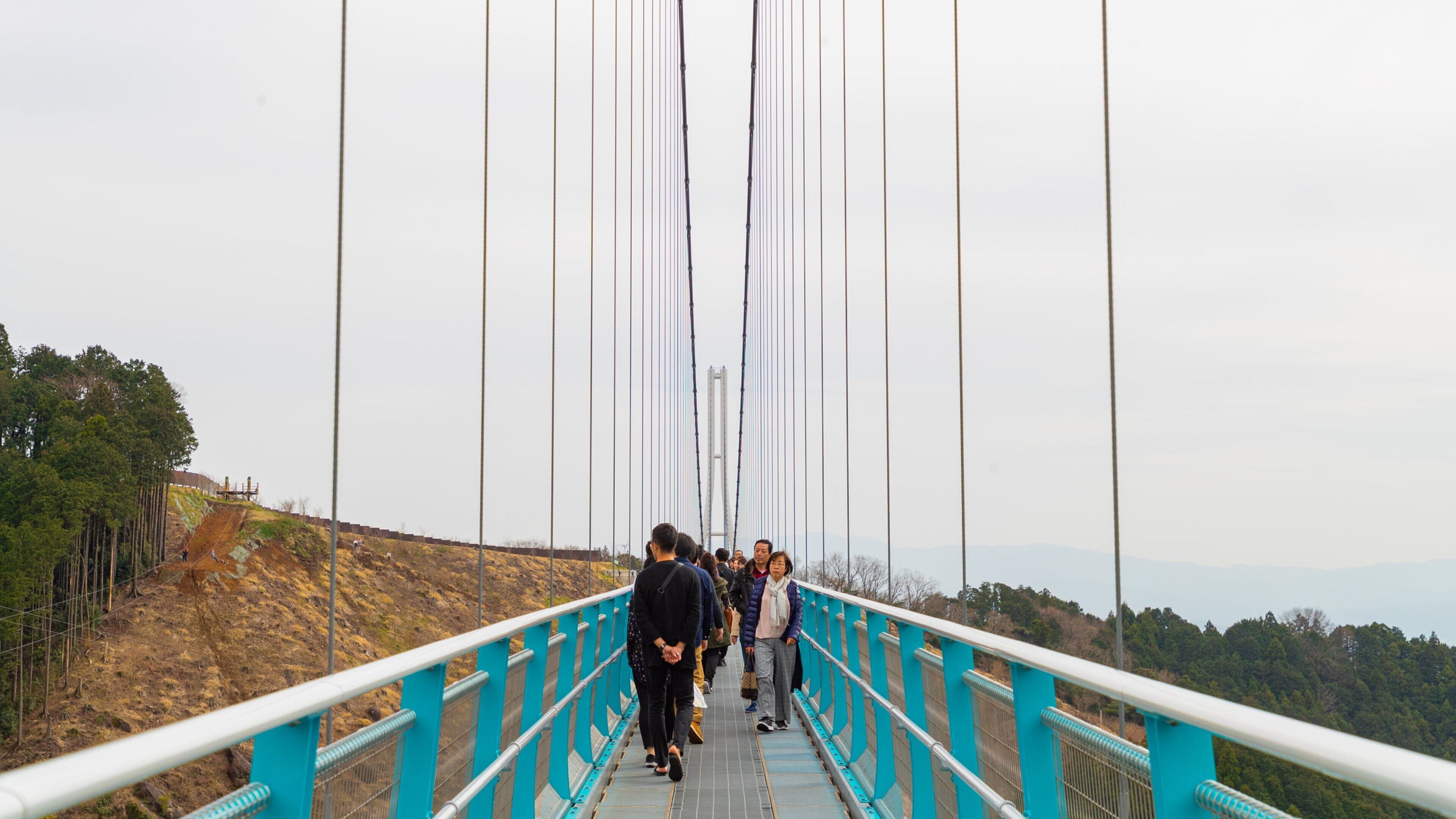 Mishima Sky Walk which includes a bridge as well as a small group of people