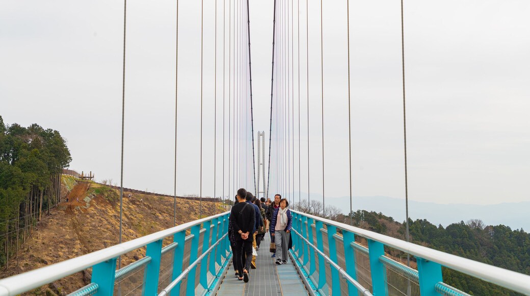 Mishima Sky Walk which includes a bridge as well as a small group of people