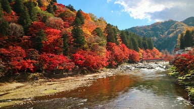A river with red foliage trees and a bridge in the background.
