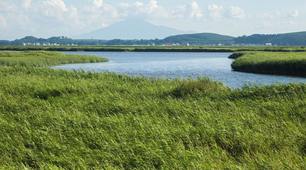 Tamogi, Nakadomari, Kitatsugaru District, Aomori Prefecture 037-0318, Japan