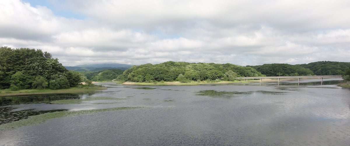 A river with green algae, a bridge, and forested hills.