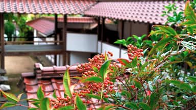 I love the architecture of Japanse temples.
If you're ever in Okayama, I suggest a drive through the kaga district and a visit to Enjoji