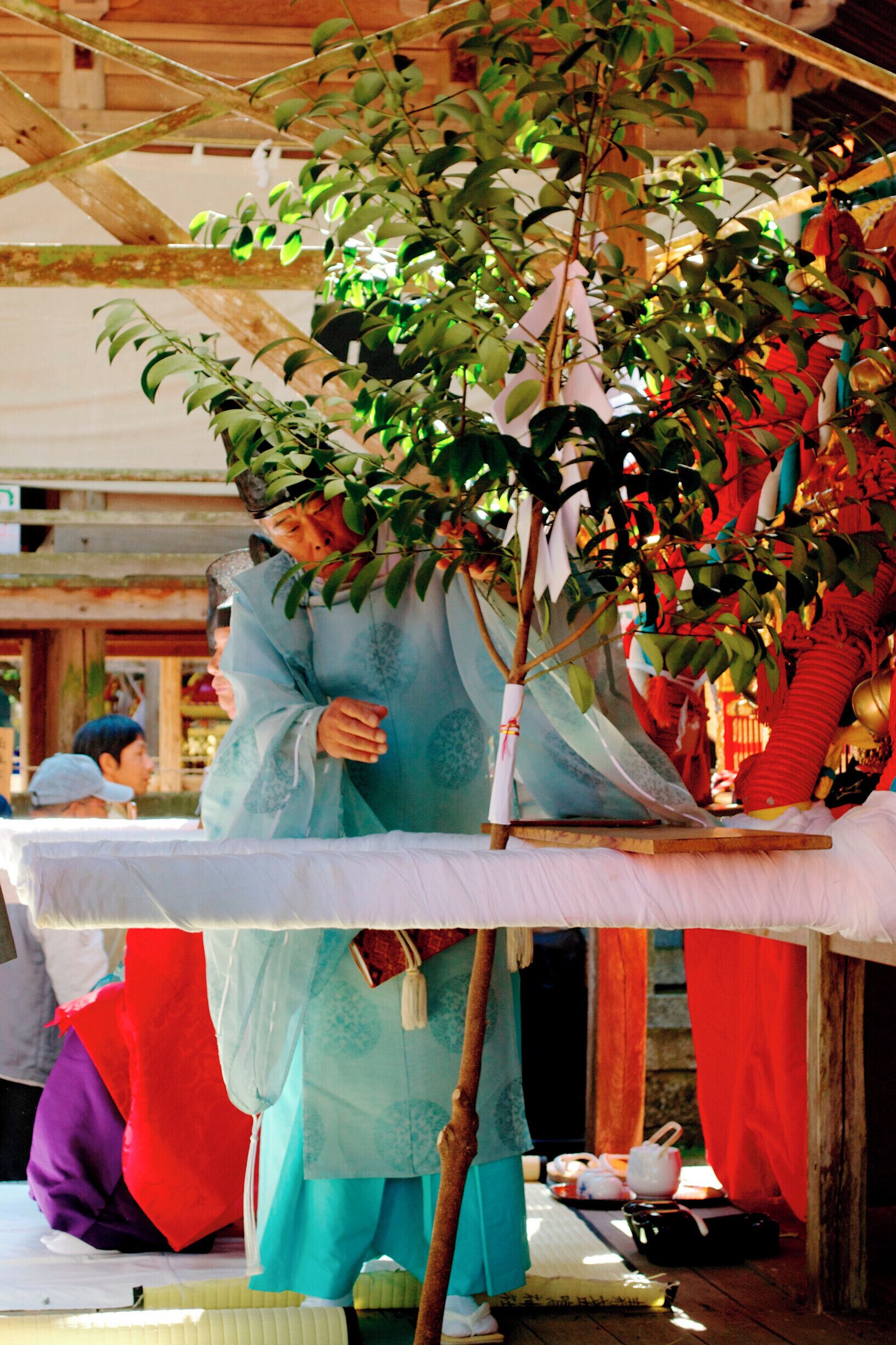 Matsuri festival at Ko Shrine in Okayama prefecture (Hosoda)