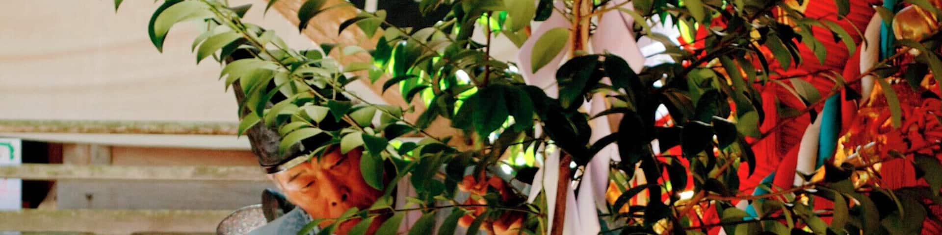 Matsuri festival at Ko Shrine in Okayama prefecture (Hosoda)